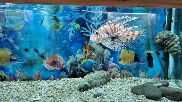 Fisheries Museum