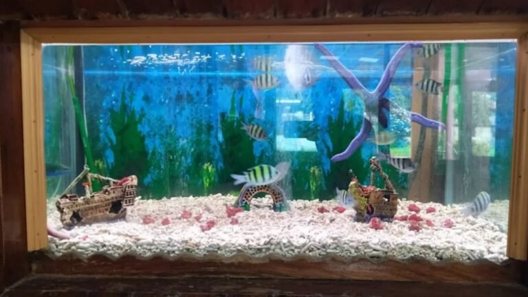 Fisheries Museum
