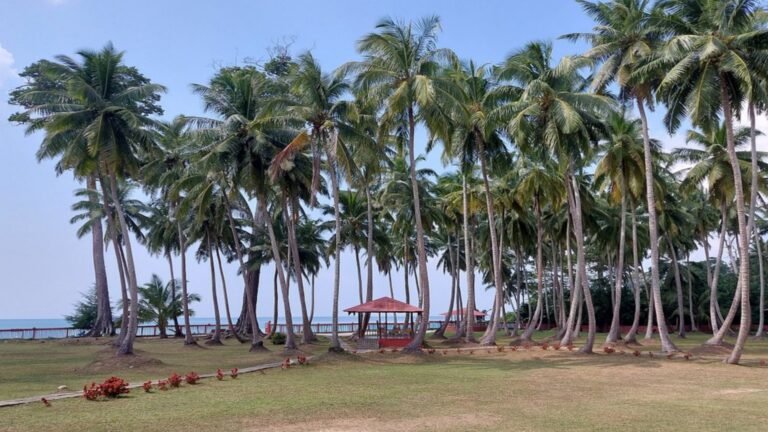 Wandoor Beach