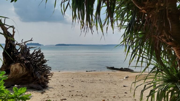 Wandoor Beach