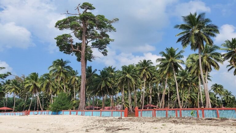 Wandoor Beach