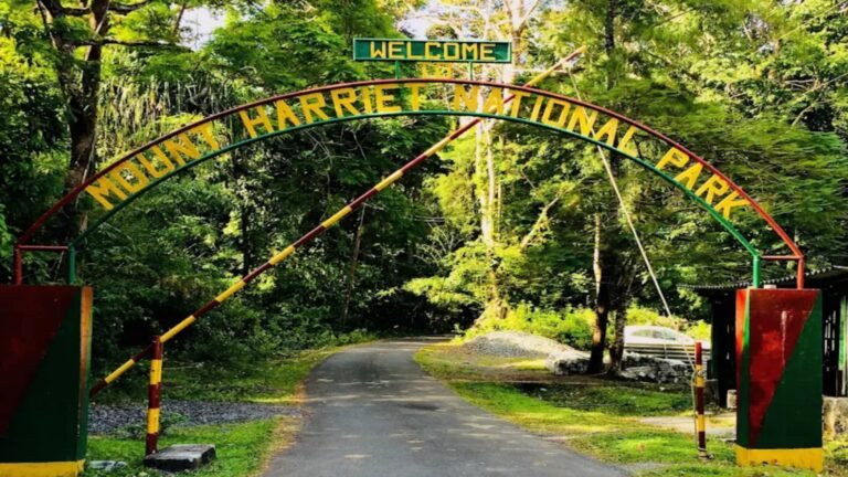 Mount Manipur National Park