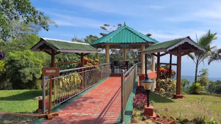 Mount Manipur National Park