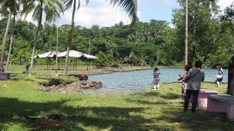 Viper Island