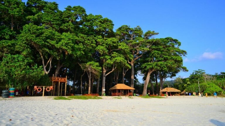 Radhanagar Beach