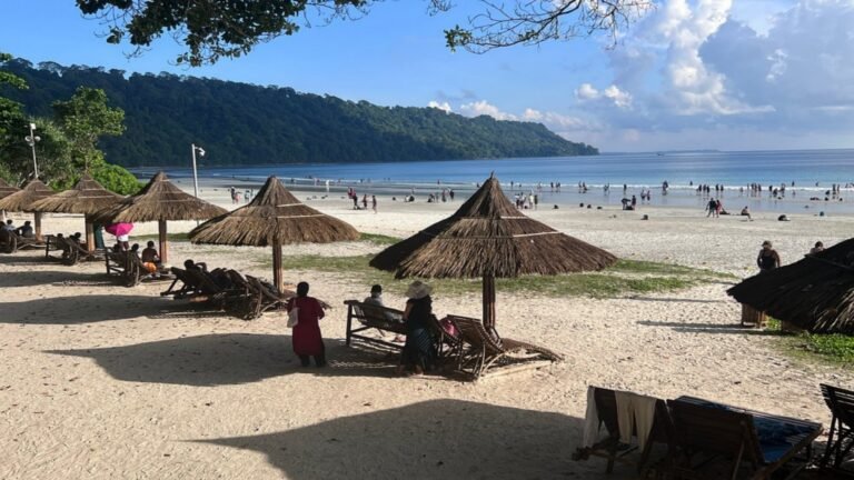 Radhanagar Beach