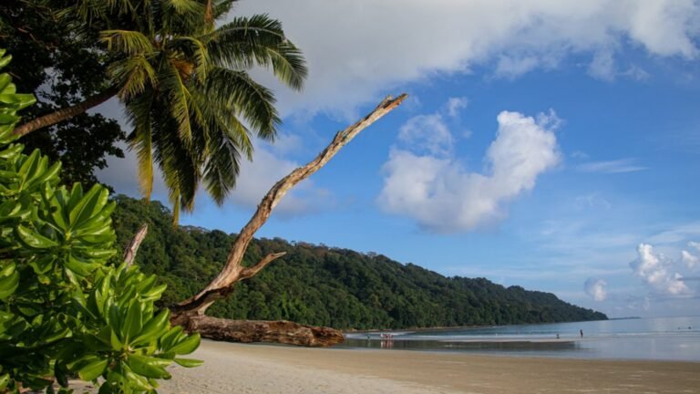 Radhanagar Beach