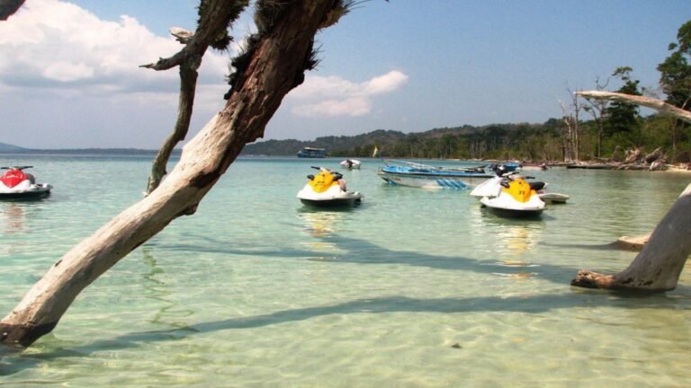 Elephant Beach