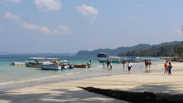 Elephant Beach