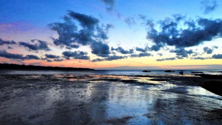 Govind Nagar Beach (Nemo Reef)