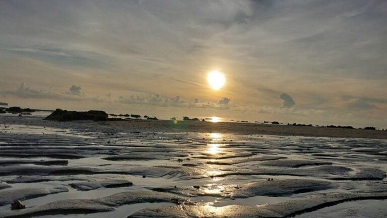 Govind Nagar Beach (Nemo Reef)