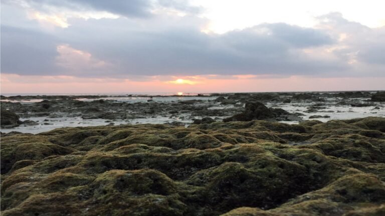 Vijaynagar Beach