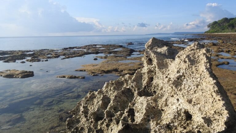 Natural Coral Bridge