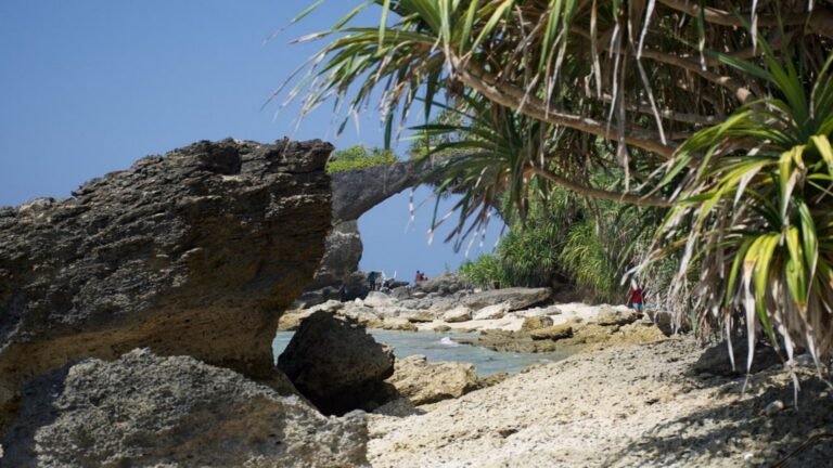 Natural Coral Bridge