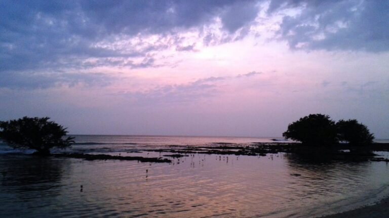 Ram Nagar Beach