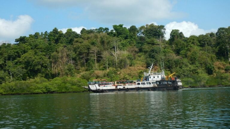 Baratang Island