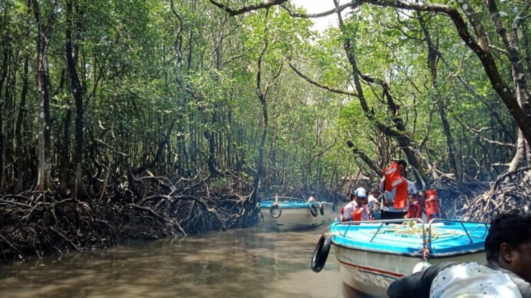 Baratang Island