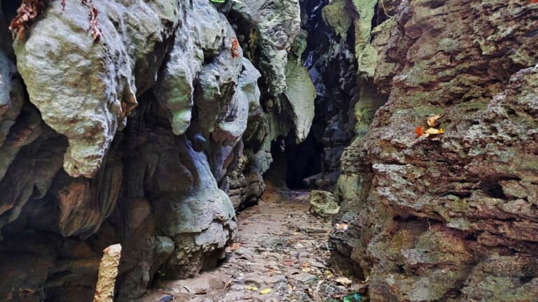 Limestone Caves