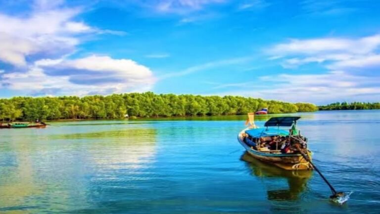 Parrot Island