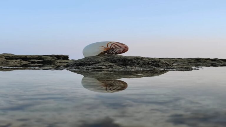 Baludera Beach