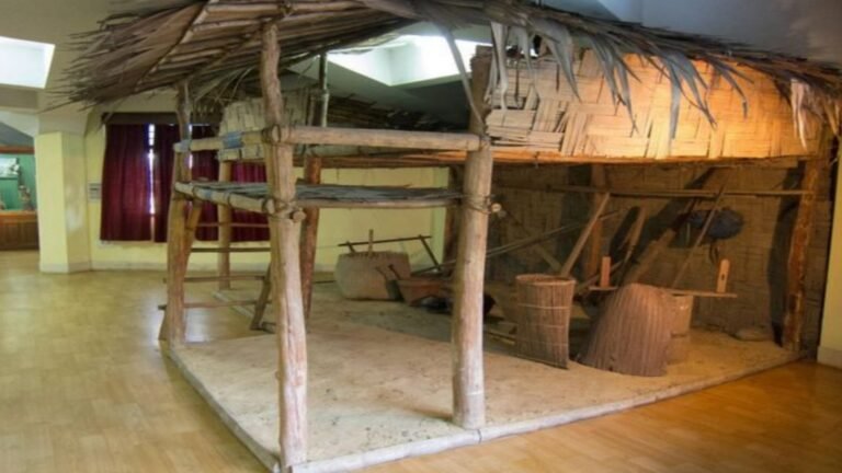 Anthropological Museum