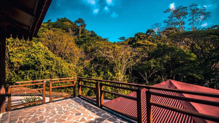 Garden Suite Villa (Lake view with direct access & a Private Garden Patio)