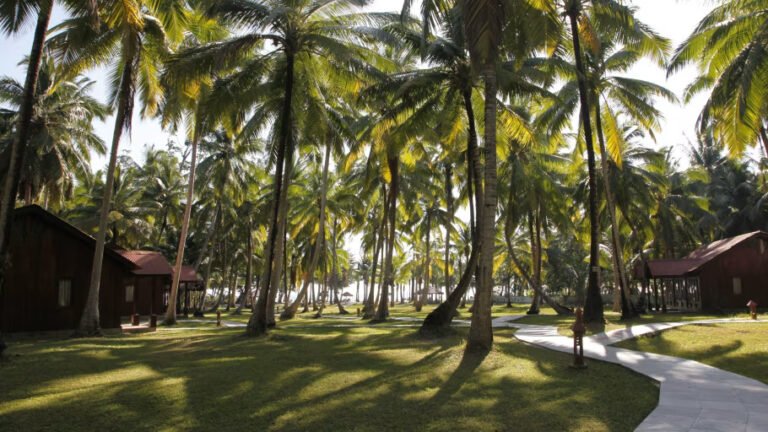 Silver Sand Beach Resort