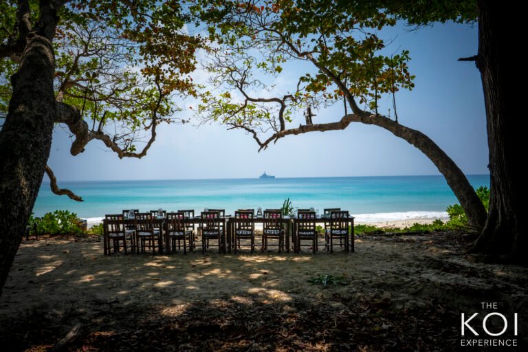 Barefoot Resort