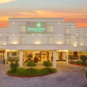 Lemon Tree