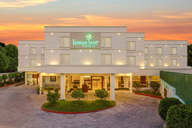 Lemon Tree