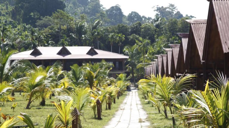 Symphony Palms a Beach Resort